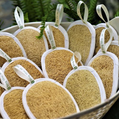 Bông tắm xơ mướp