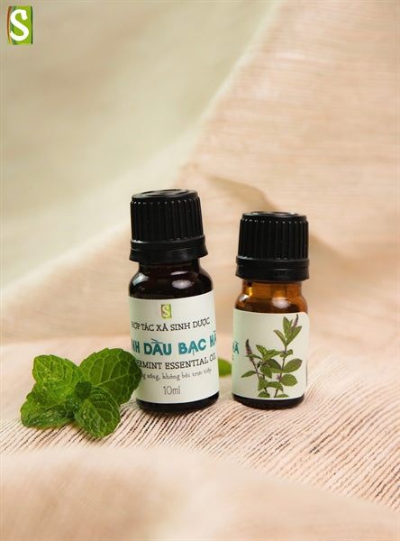 Tinh dầu bạc hà 10ml
