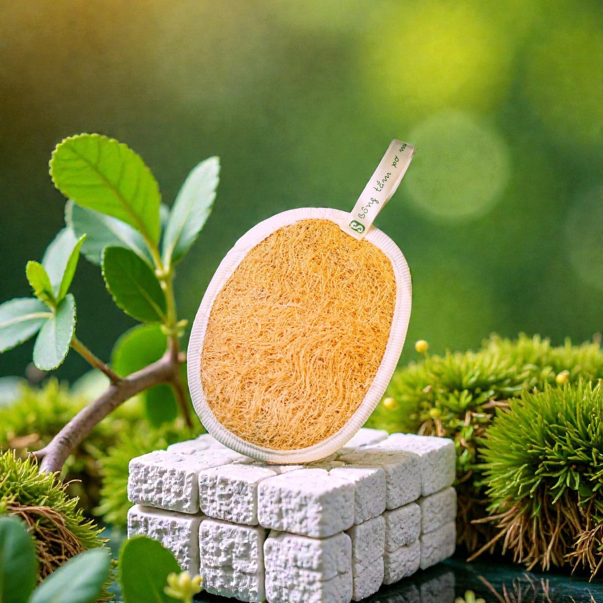 Bông tắm xơ mướp