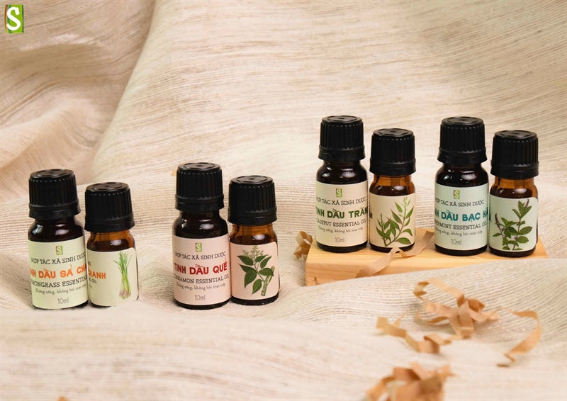 Tinh dầu khuynh diệp 10ml